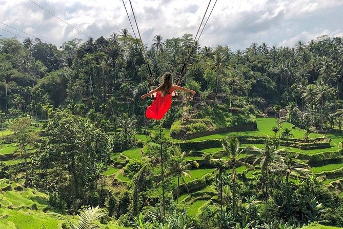 Ubud Swing & Rice Terraces