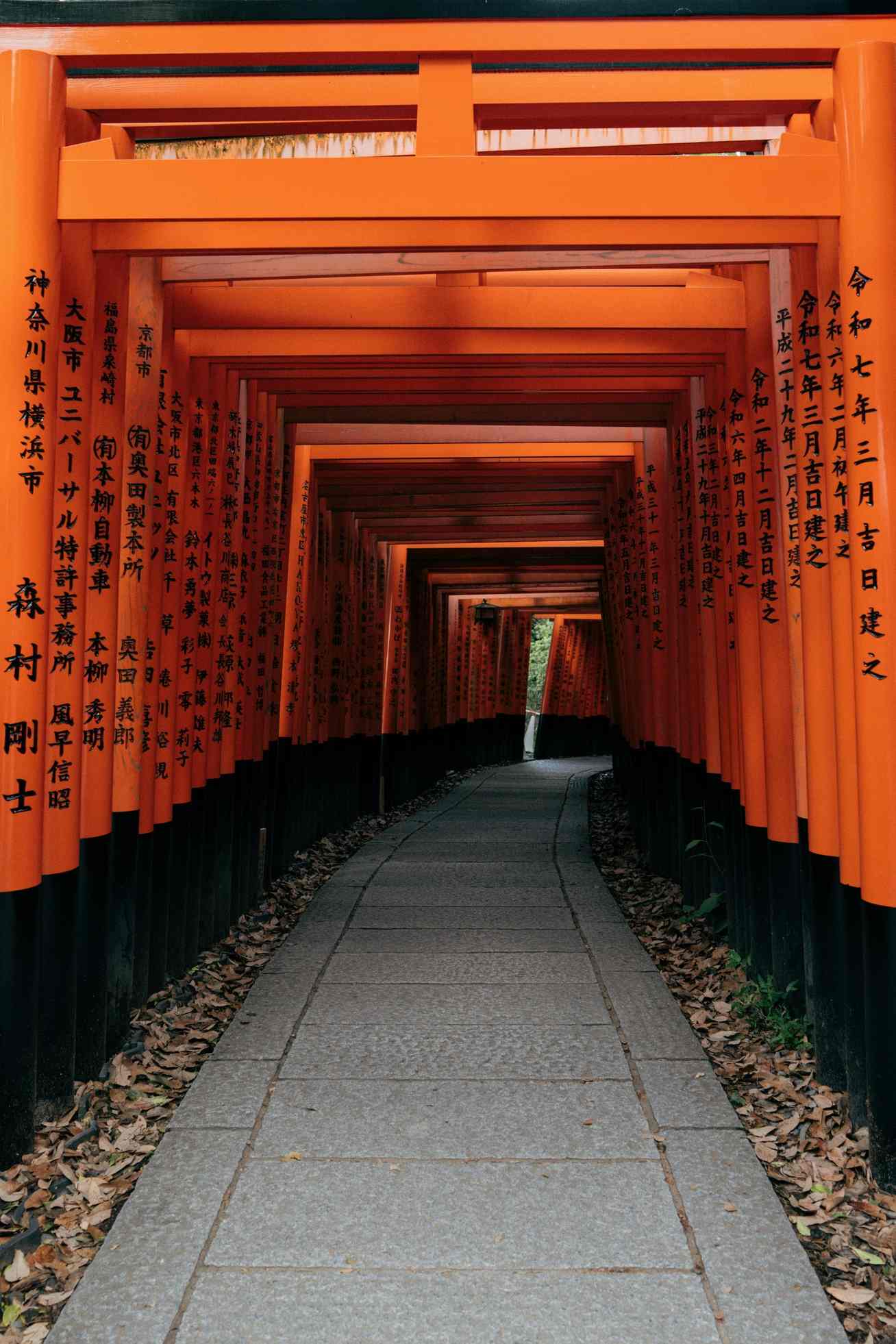 Fushimi Inari & Kiyomizu-dera