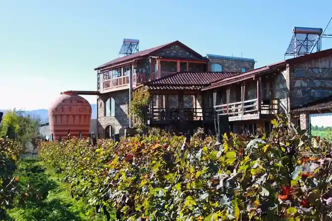 Kakheti Wine Tasting