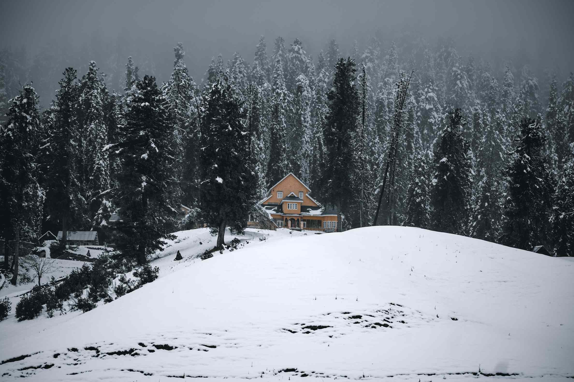 Winter Kashmir Extravaganza